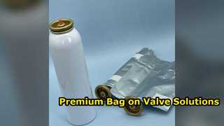 Premium op maat gemaakte Bag-on-Valve-systemen voor aluminium spuitbussen