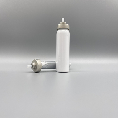 kopen Innovative Bag on Valve for Automotive Use with Precision Trigger Spray Cap online vervaardiging