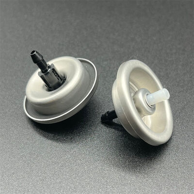 kopen Botanische aërosol haarmousse voor bewuste consumenten met natuurlijke houding en plantaardige ingrediënten online vervaardiging