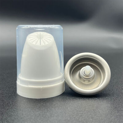 kopen Thermisch beschermende aërosol haarmousseverspreider voor frequente gebruikers van warmtewerktuigen met schadepreventie en styling-locking technologie online vervaardiging