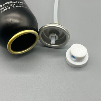 kopen Precision Body Mist Valve voor cosmetische toepassingen - fijne mist, consistente dekking online vervaardiging