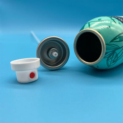 kopen Droogshampooventiel 1-inch spuitbusventiel voor haarverfrissende spray online vervaardiging