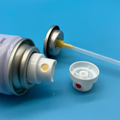 kopen Precisie Droogshampoo Aerosolventiel met Ultra-Fijne Mistsproeier voor Residu-Vrije Prestaties en 360° Werking online vervaardiging