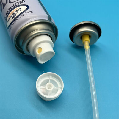 kopen Droogshampoo Sprayventiel Geavanceerd Ventielontwerp voor Fijne Poederdosering online vervaardiging