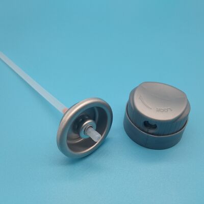 kopen Ultra-Fijne Nevel Hydraterende Zonnebrandspray Ventiel voor Luxe Gezichtsverzorging met Gewichtloze Hydraterende Finish online vervaardiging