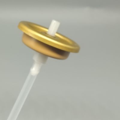 kopen 1 inch blik en aluminium aerosol klep voor poeder spray toepassingen online vervaardiging