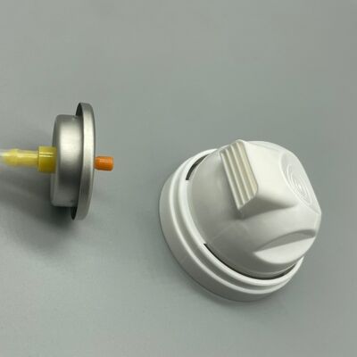 kopen Aerosol-scheerschuimventiel Ontworpen voor verzorgings- en persoonlijke verzorgingsproducten online vervaardiging