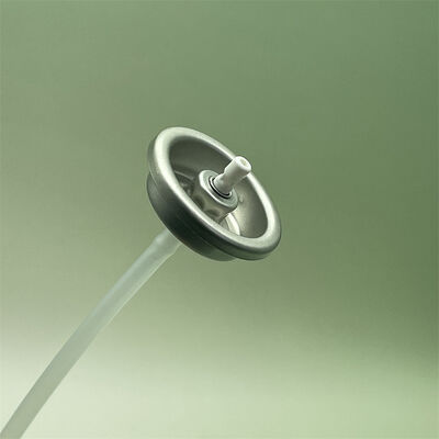 kopen Duurzame 1-inch aerosolklep ontworpen voor betrouwbare bandenopblaas- en snelle reparatietoepassingen online vervaardiging