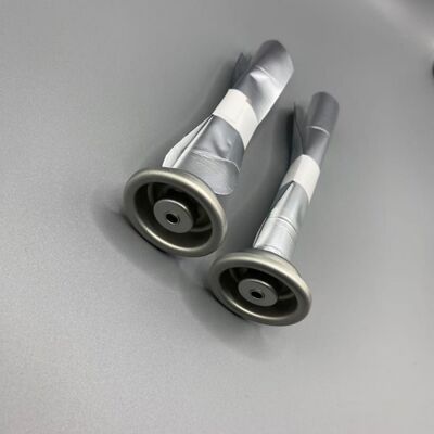 kopen Milieuvriendelijke Female Bag-on-Valve Aerosol Systeem voor Duurzame Verpakking online vervaardiging