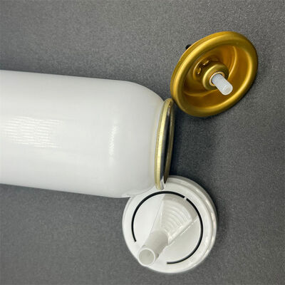 Inverted Aluminium Aerosol Valve voor 360° Dispensing Hair Mousse met Corrosion-Resistant en Bag-on-Valve Ready Design