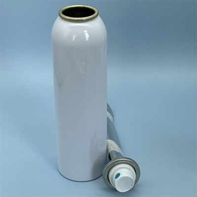 Premium vrouwelijk aerosolzak-op-klep systeem met geavanceerde steriele barrière technologie voor hoogwaardige spray toepassingen