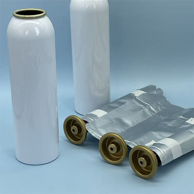 Vrouwelijk aërosolsysteem voor zak op klep met verbeterde steriliteitscontrole